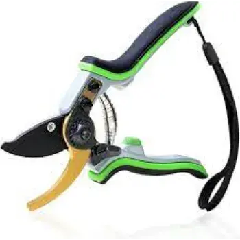 RK Pruning Shears